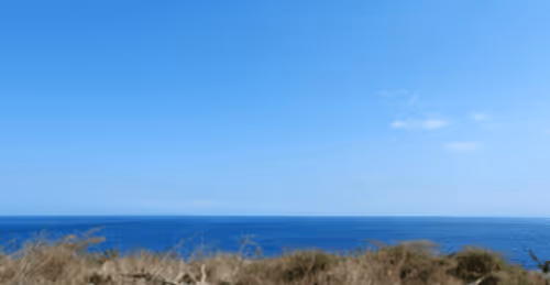 Item #996290929731784083911388906821093556753999753550153778286711586301149184001 Media