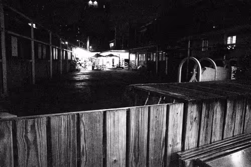 Item #40924867704625931810810432918766781072375131540904661553211691920666642087937 Media