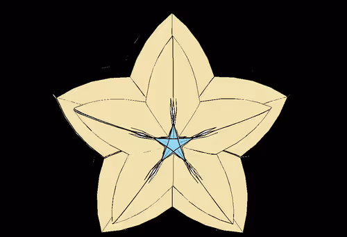 Item #5136403534341406989691152363603842551382927147962438361259488981050353254401 Media