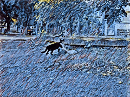 Item #46397680814911453718365897270123246439130732684861044295736256042930272206849 Media