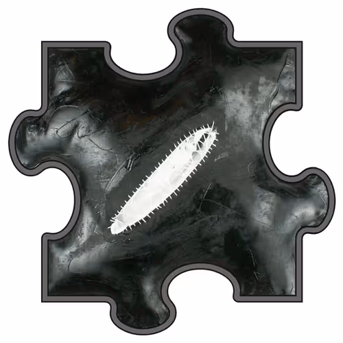 Item #55483159053478585315489603701943723215002400344089336950639374765459098304612 Media