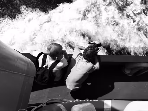 Item #74817359076642782556585350322471739713426593632609016310354114342204095856641 Media