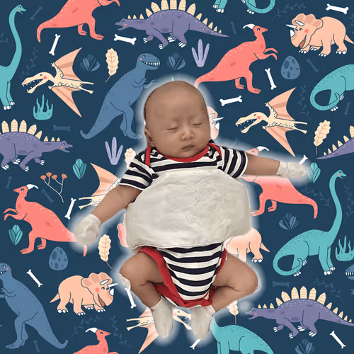 Item #65328772626647123258890298496144794868363313141527300259855754504679603568641 Media