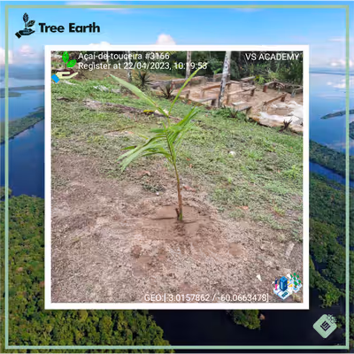 Item #8500196597889277390194123329501889087166328879864934763448349361377499938817 Media