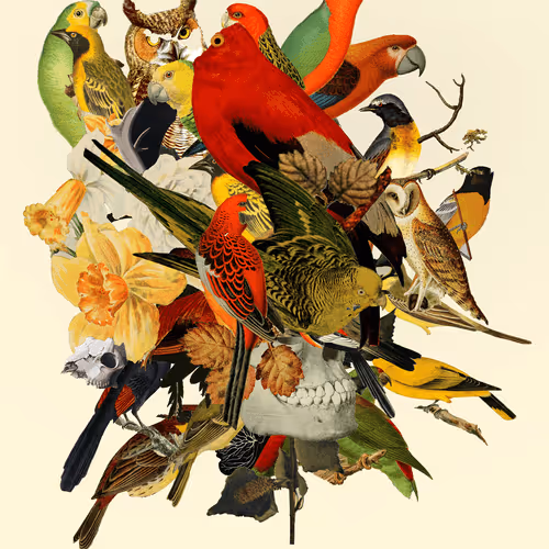 Item #38505810138693933868776507071798169226744493251616044922787292519828429996033 Media