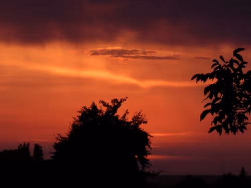 Item #55297223282317197917185791022658401724226762533250968792427961326726350372865 Media