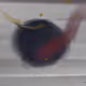 GirouxArt Collection