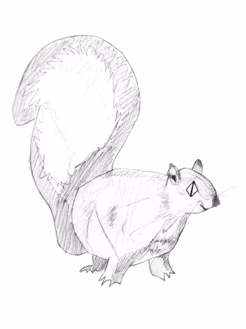 Item #21782199312368670970242189760663991903932470876849492131182457902235603959809 Media