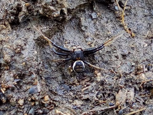 Item #18279368597565041265121237626867746954701071610314993633361532912605335650305 Media