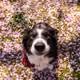 4540981132661692559025686308203872039209036559499937234026361407201095974913