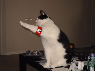 Item #89744694711866413916333486354993998246652412358662913525954093588574434754561 Media