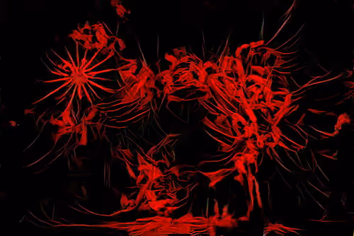 Item #110956225884357237060189469178797947004350425920294272136078628962875893350401 Media