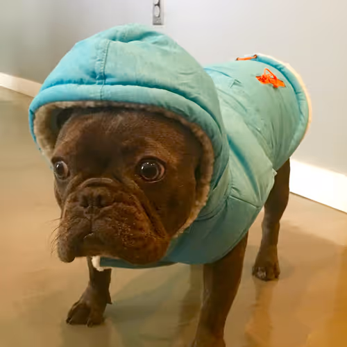 99031261785432219130552668818269695456905868997165113515571762478680417239041