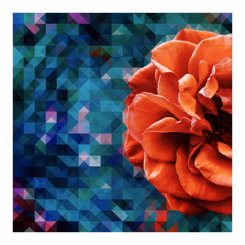 Item #107464939479397688901716032511019128442777747933969988168049446749879933075457 Media