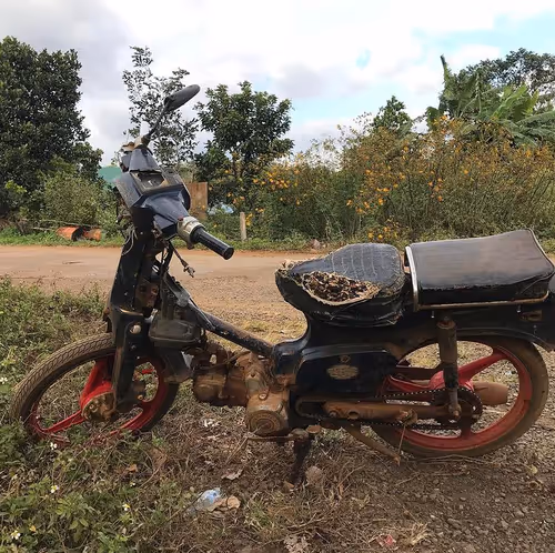 Item #3472775579513929193738294741119448134718981687313698602877200362945894154241 Media