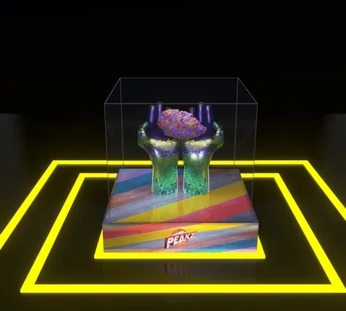 30416664768498730083160680636723480070814186252642691524355120897869637222401