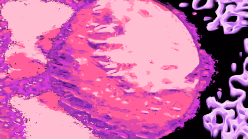 Item #43311138638941463080674194979113003290186670660191963662495324962735670689793 Media