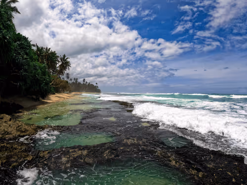 Item #48474301322995807969240274513334363728541577812615842985785900186130811191297 Media