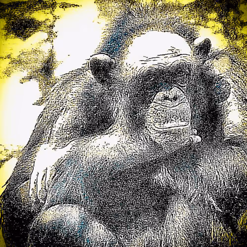 Item #105394010161551018097936078642910549059002323015222353178191529049730922315777 Media