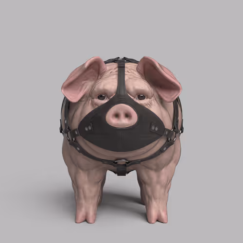 Item #16983713817389912561875268372123772248800098804392541754987345458420678393876 Media