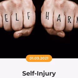 84967509520196306123188380026293221301468344843151761076076916367122791137281