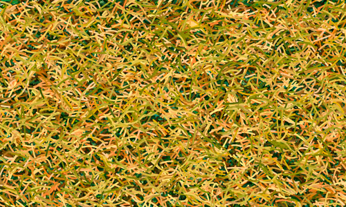 Item #37671797252818830032645010018488858802778721291022166209366081431174813581313 Media