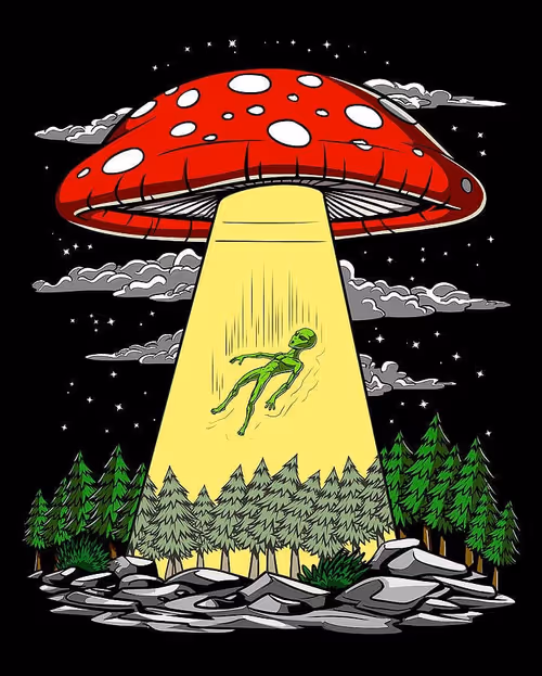 Item #76059032370385405404008950145745537023899259694498348313742902588004160765953 Media