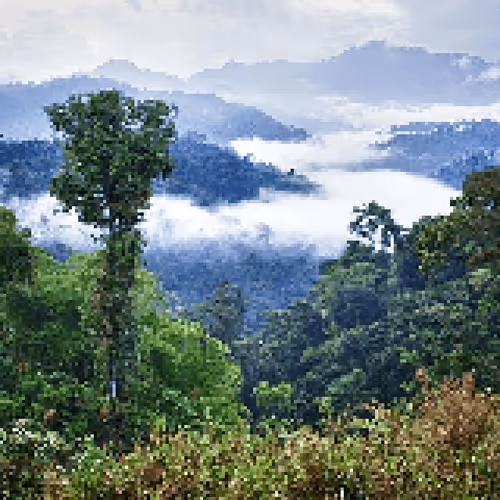 Item #77578914739546887048818332313932665161765433079396936366754535081084954083329 Media