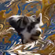 53180631642456764738139299674940583640479914081960747744151193245130936025089