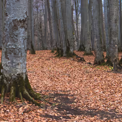 2468119463308914702005443652102614178506533567319377457804556994375361495041