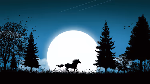 Item #48675370962162840952767984262356909171575887892164890541832012951719379992577 Media