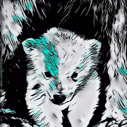 Polar Bear #13