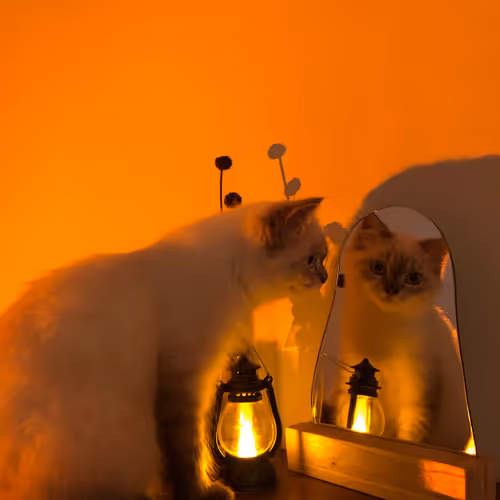 113108123893781287193638742201143473737808108693062803138143660134154278797313