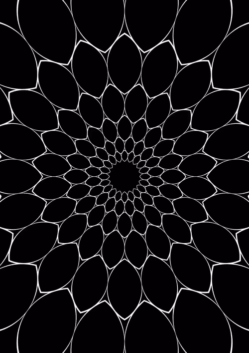 Item #55557846162621684116222691869451621027300792402326547070999326044212951000848 Media