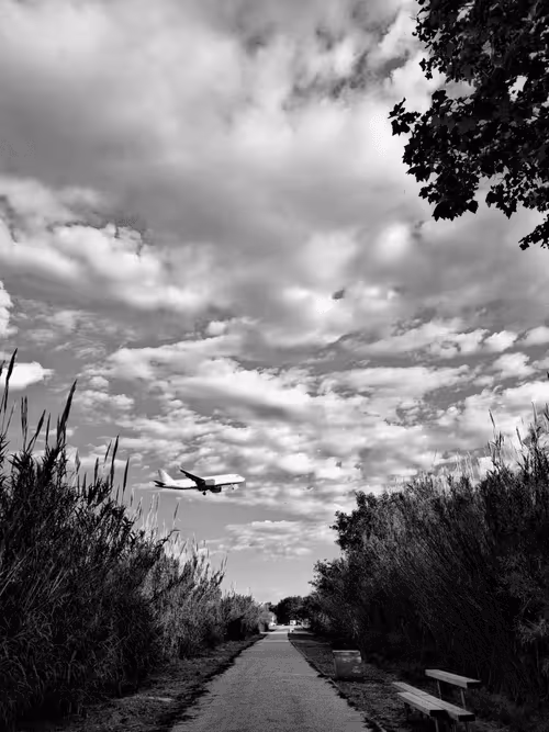 Item #36816001644917254617906175698674191035781868216999975889902342326668566200321 Media