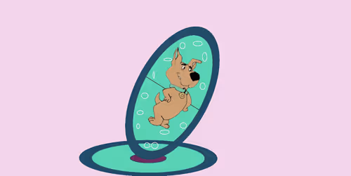 Item #83533924565478375256540621348068203140448736986529962336926819174265097551972 Media