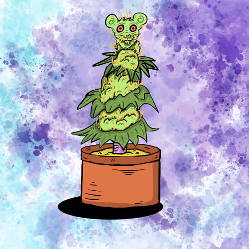 4/20 Rat!