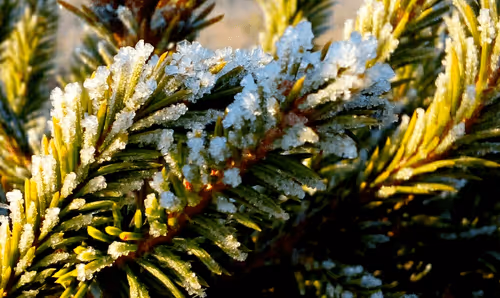 Item #55297223282317197917185791022658401724226762533250968792427961469662861983745 Media