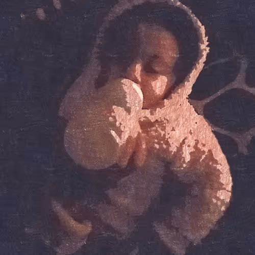 35214279000777475593320370313881292726581492560785314142266919530798612742145