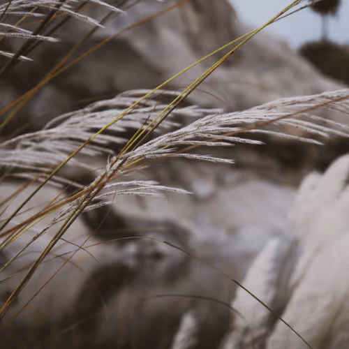 Item #30813211791344152338937808704740591007204009666135450340711733765022903435265 Media