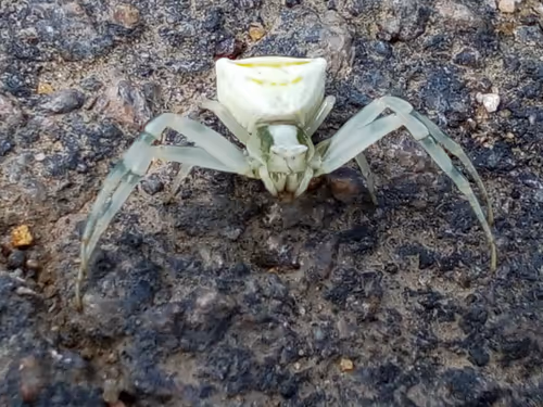 Item #18279368597565041265121237626867746954701071610314993633361532911505824022529 Media