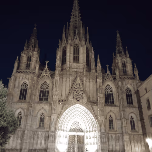 Untitled Collection #86512302