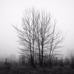 92453260968842960055191976889840526664419783576829596708965298264803633004545