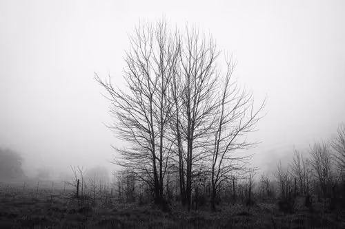 Item #92453260968842960055191976889840526664419783576829596708965298264803633004545 Media