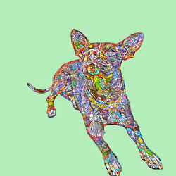 Maya #148