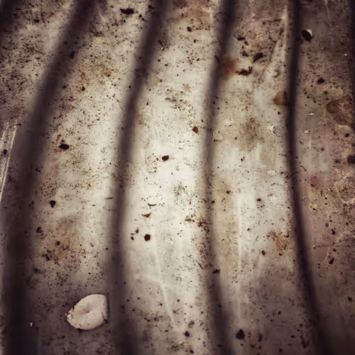 Item #49188710718413262446425824596964854565025683222927729162195606664145803411457 Media