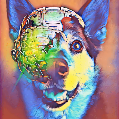 Robo Doge