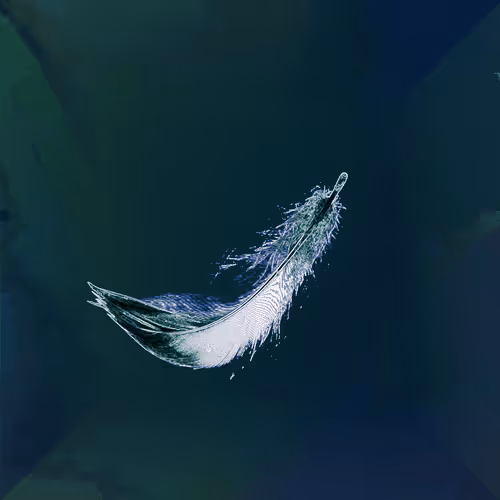 Item #72932321608233697749117711298000337470595698923978217717692158322022757171201 Media