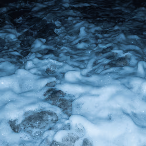 Item #65334289746679534718729475887804441956060191570096093289886828054195680051201 Media