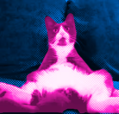 Item #90667966395534753650866428316633695380666645705139361794799662820234471931905 Media